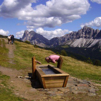 Escursione circolare sulla Plose, 2486 m, con vista panoramica